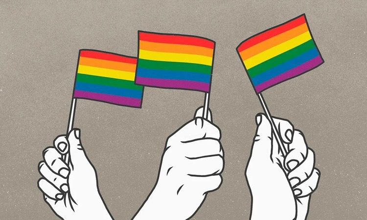 Gender Bundle by The Pincus Center